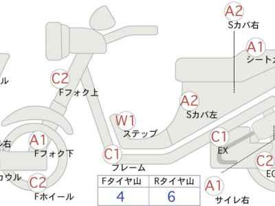 Yamaha Maxam 250