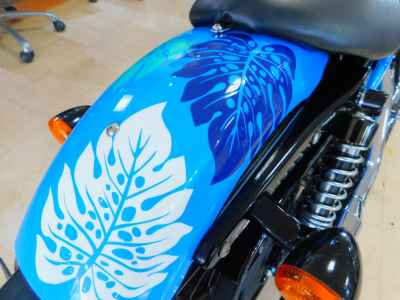 Harley-Davidson Sportster Iron XL883N 2009