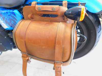 Harley-Davidson Sportster Iron XL883N 2009