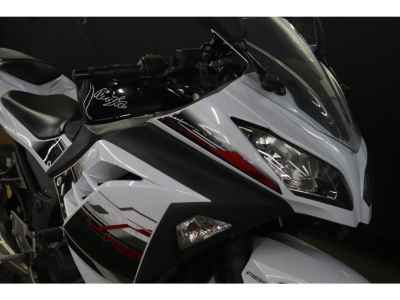 Kawasaki Ninja 250 2014