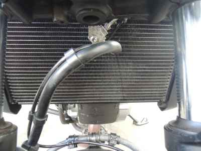 Suzuki SV650 2021