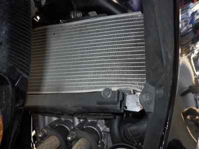 Honda CBR250RR 2022