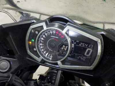 Kawasaki Ninja 250 2020