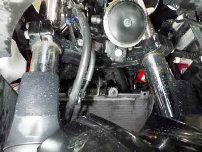 Kawasaki Ninja 250 2020