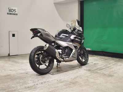 Kawasaki Ninja 250 2019