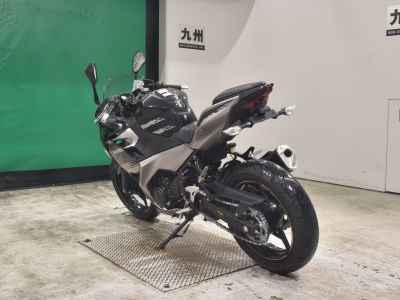 Kawasaki Ninja 250 2019