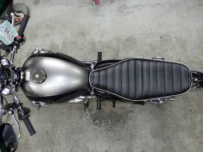 Kawasaki W800 2025