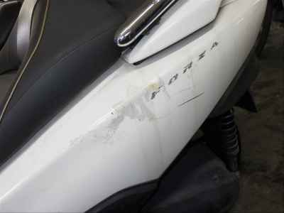Honda Forza Z 2011