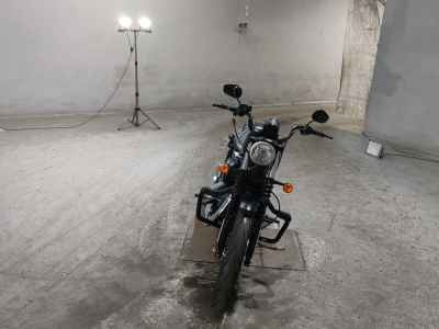 Harley-Davidson Sportster Iron XL883N 2015