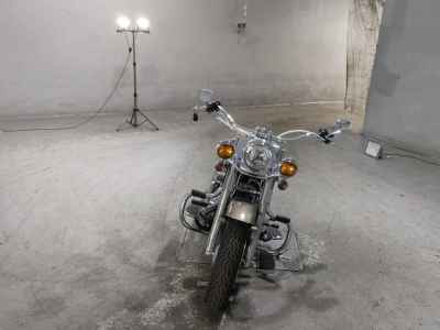 Harley-Davidson Deluxe FLSTN1580 2012