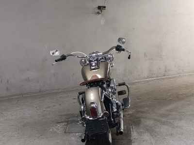 Harley-Davidson Deluxe FLSTN1580 2012