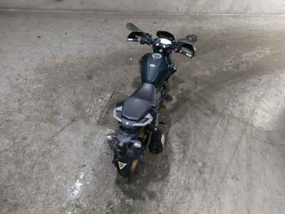 Yamaha FZS25 2021