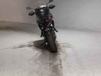 Triumph Tiger Sport 660 2024