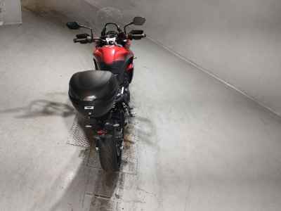 Triumph Tiger Sport 660 2024