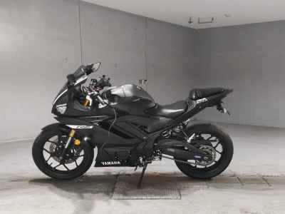 Yamaha YZF-R3 2019