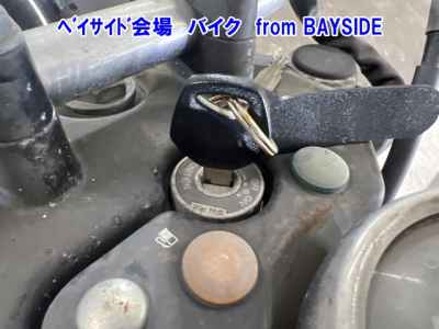 Suzuki ST250E