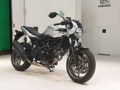 Suzuki SV650X 2024