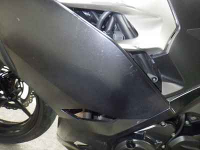 Kawasaki Ninja 250 2020