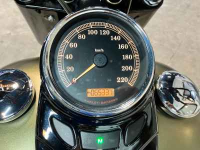 Harley-Davidson Slim S FLSS1800 2016