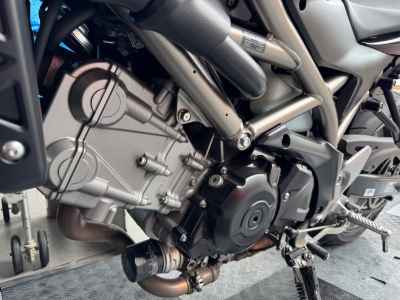 Suzuki SV650 2021