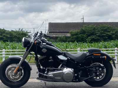 Harley-Davidson Slim FLS1580 2018
