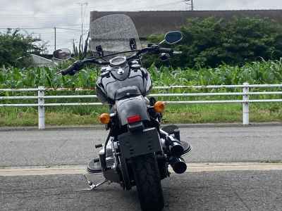 Harley-Davidson Slim FLS1580 2018