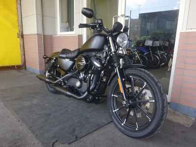 Harley-Davidson Sportster Iron XL883N 2020