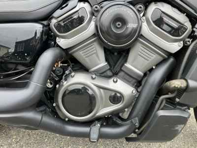 Harley-Davidson Nightster RH975S