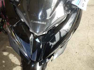 Kawasaki Ninja 250 2019