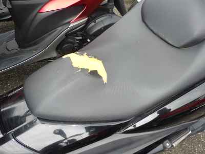Yamaha Majesty 250 2014