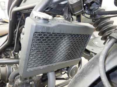 Honda Rebel S CMX250 2022