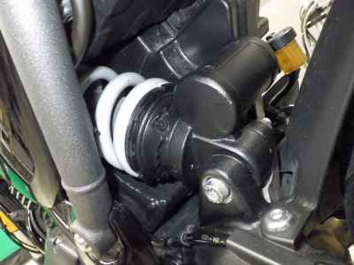 Triumph Speed 400 2024