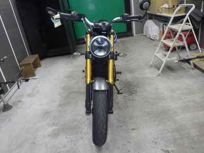 Triumph Speed 400 2024