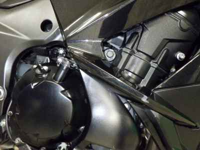 Kawasaki Ninja 1000 2018