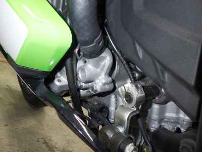 Kawasaki Ninja ZX-4RR 2025