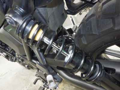 Honda CL250 2023