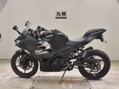 Kawasaki Ninja 250 2021