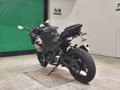 Kawasaki Ninja 250 2021