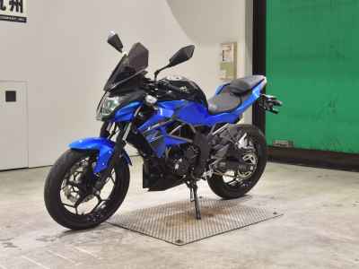 Kawasaki Z250SL 2016