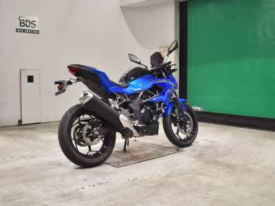Kawasaki Z250SL 2016