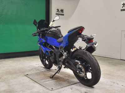 Kawasaki Z250SL 2016