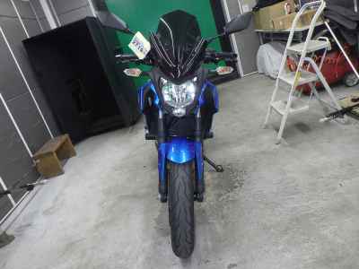 Kawasaki Z250SL 2016