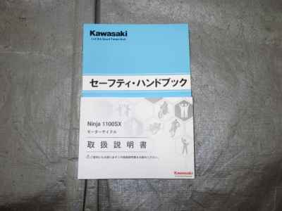 Kawasaki Ninja 1100SX SE 2025
