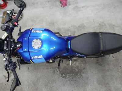Yamaha XSR900 2024