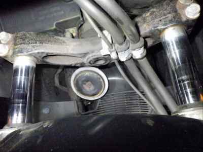 Honda Forza Z 2006