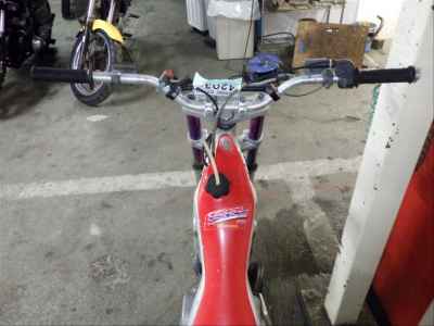 Honda RTL250R