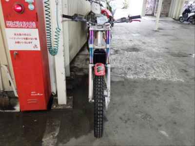 Honda RTL250R