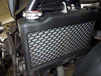 Honda CL250 2023