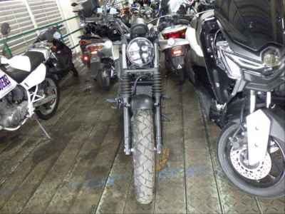 Honda CL250 2023