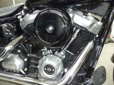 Harley-Davidson Slim FLSL1750 2020